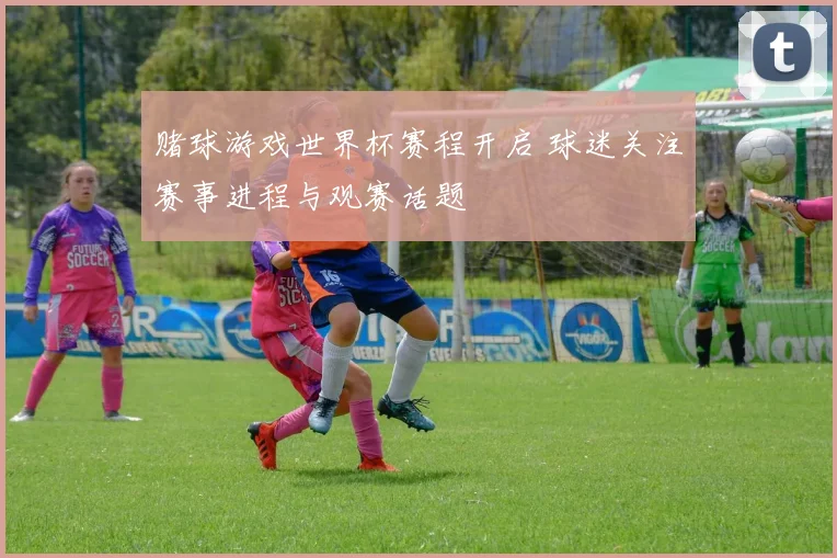 赌球游戏世界杯赛程开启 球迷关注赛事进程与观赛话题